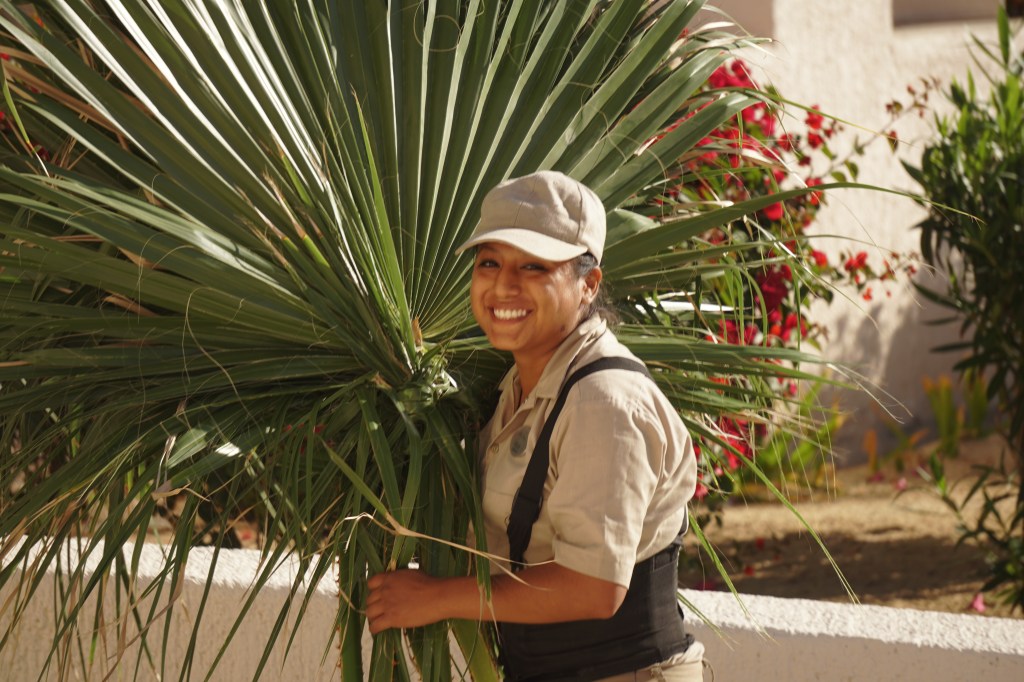 Weekly Photo Challenge –&nbsp;Smile