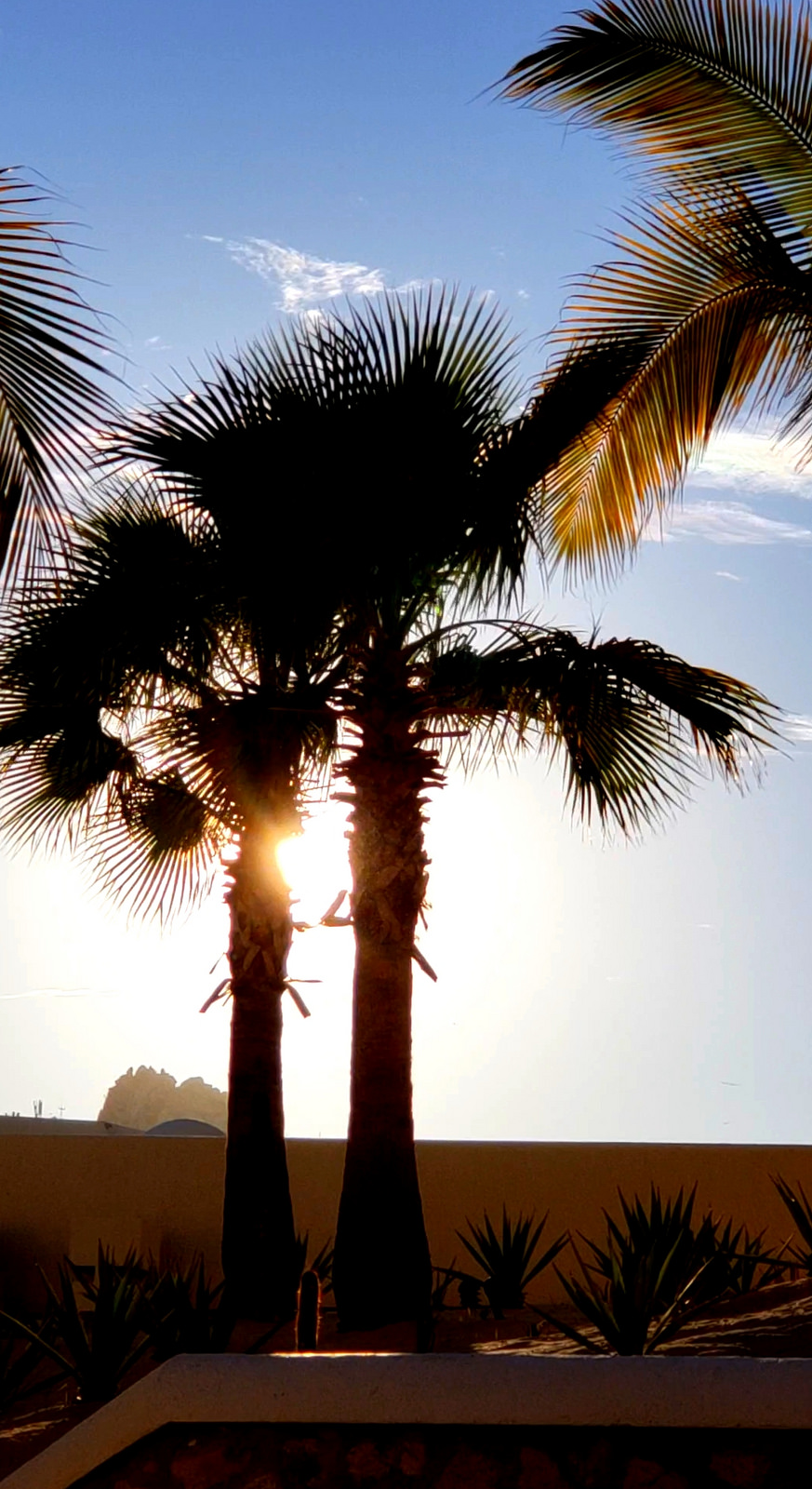 365 Project -Cabo – A Photo A&nbsp;Day