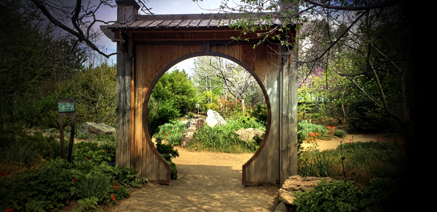 00-DBG-Pathways-20180428_145934_A900