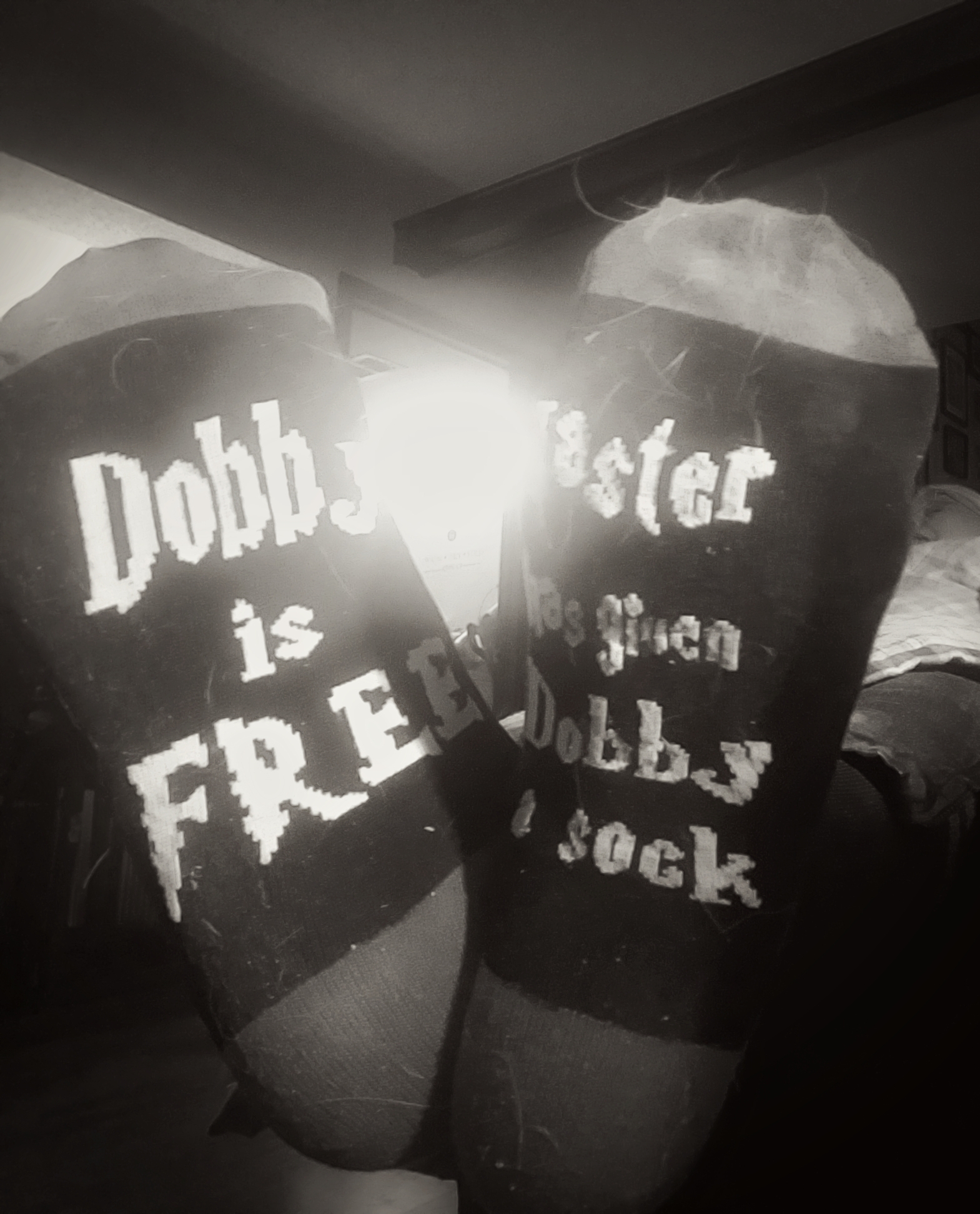 00-DobbySocks-20180209_5_M