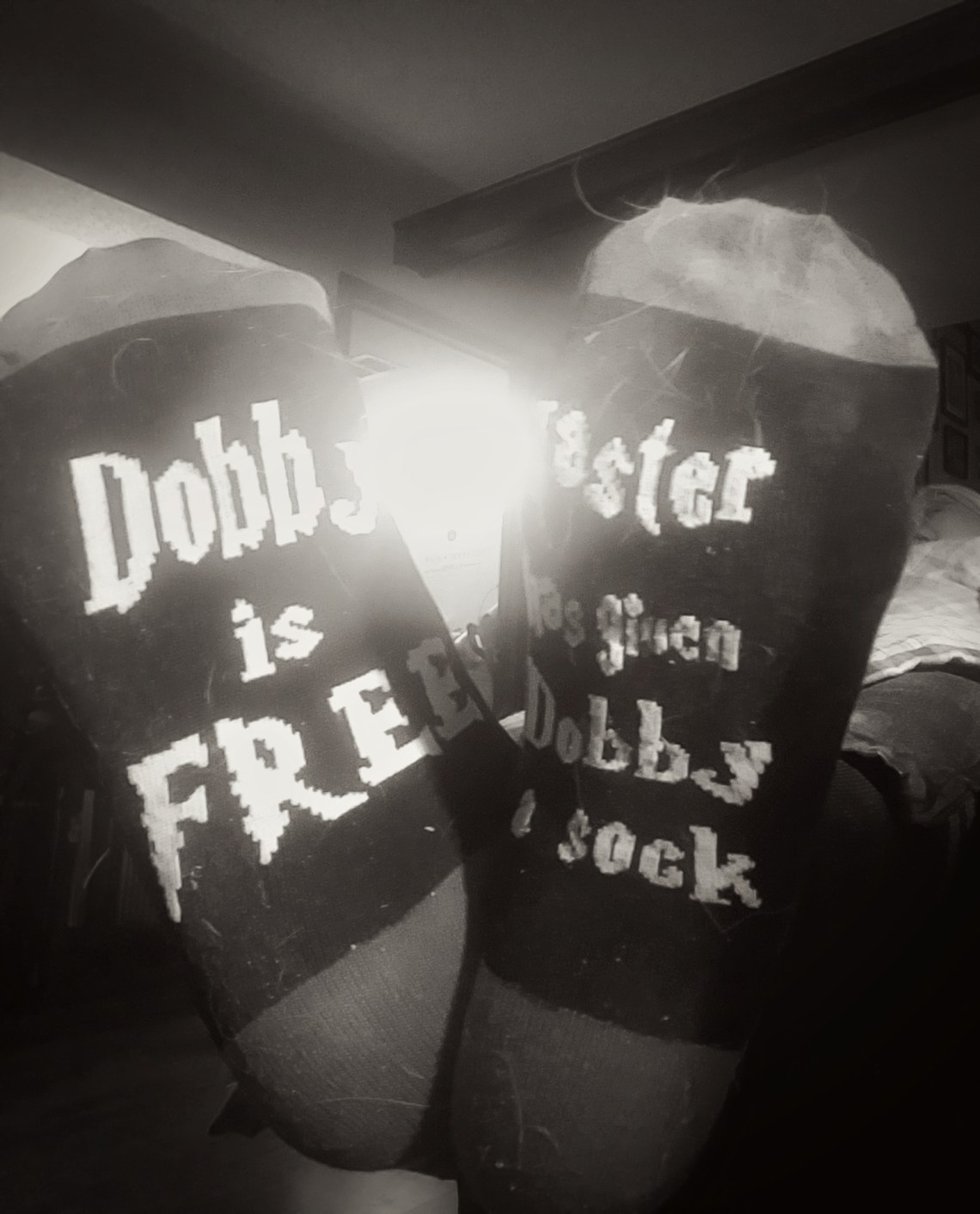 00-DobbySocks-20180209_5_M
