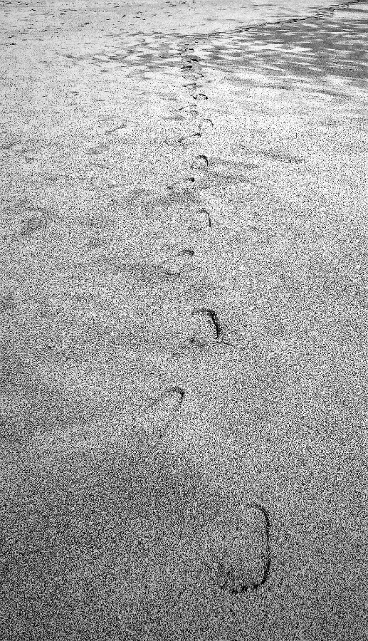 00-footprintsinthesand-20180404_200345_A900