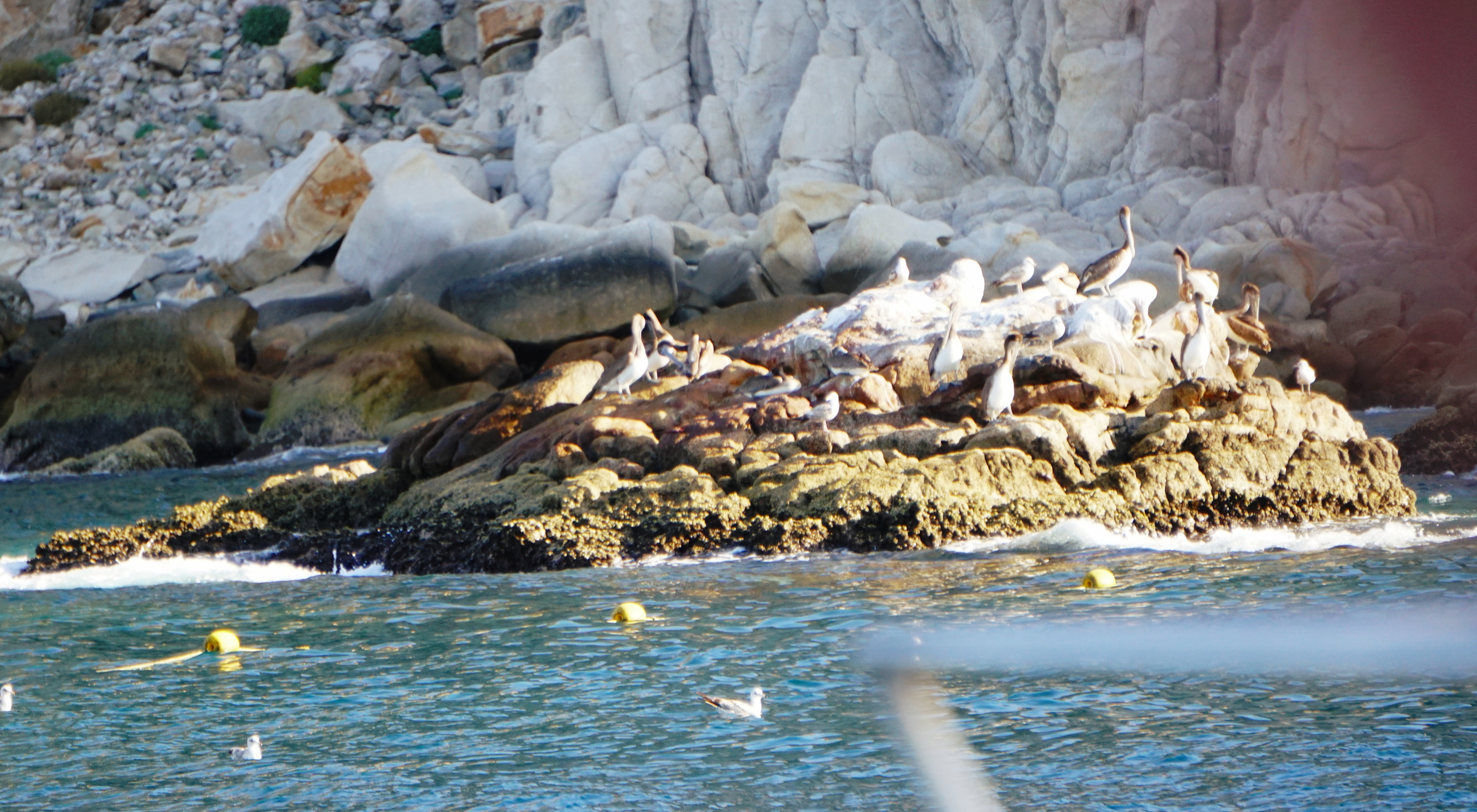 00-PelicanRock-DSC04993_A5251