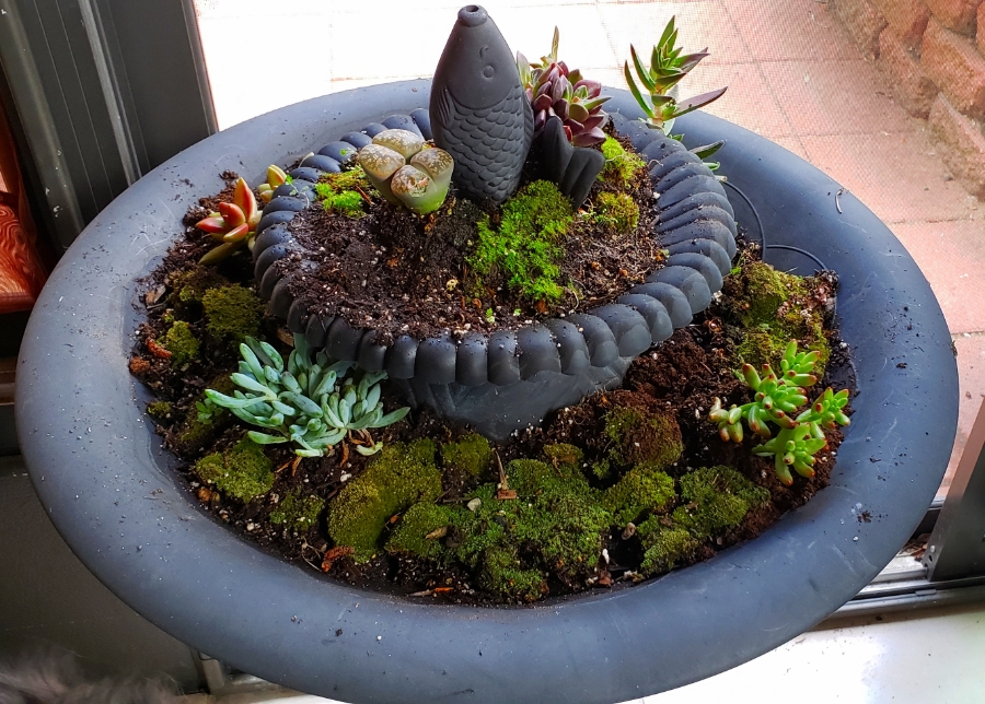 00-repurposedbirdbath-20180515_182944_A900
