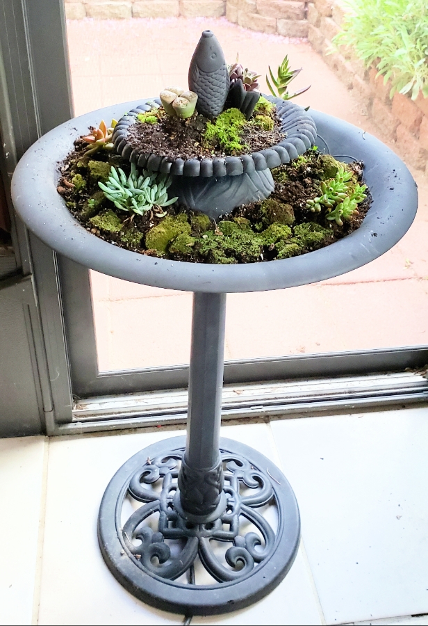00-repurposedbirdbath-20180515_183005_42092038362_o_A900jpg