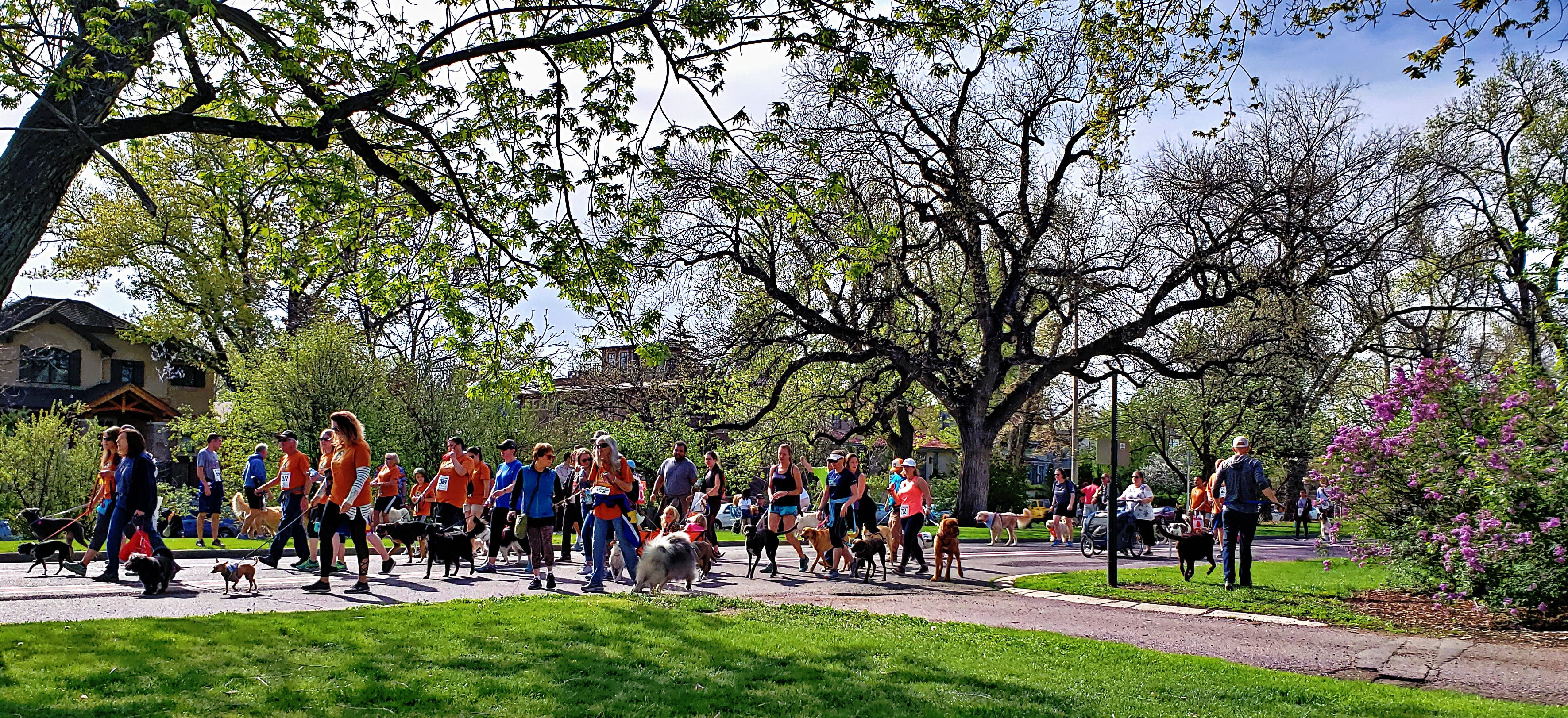 00-whichway-FurryScurry-20180505_091430_A