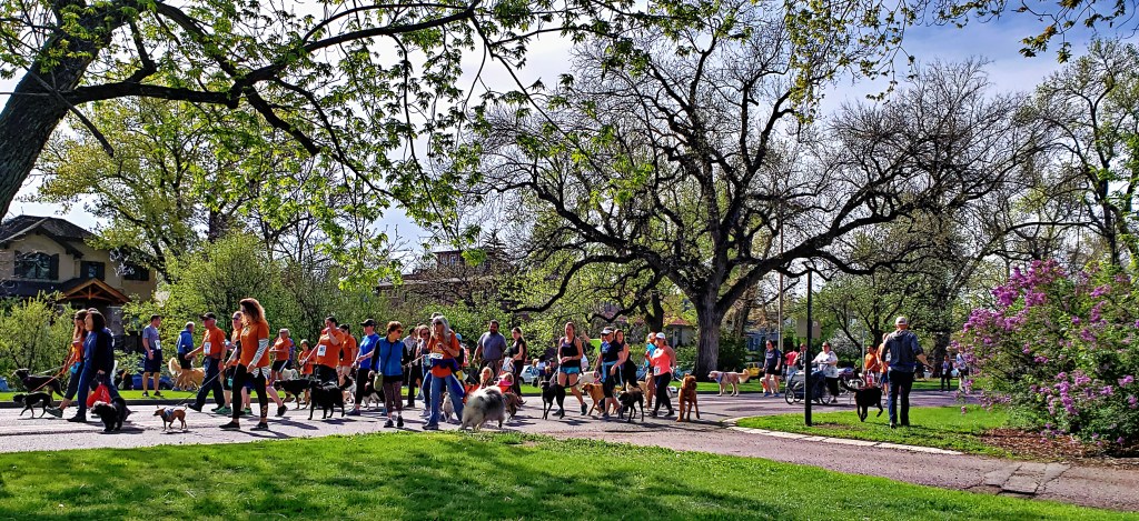 Cee’s Which Way Photo&nbsp;Challenge