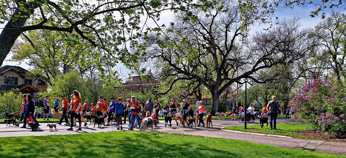 00-whichway-FurryScurry-20180505_091430_A