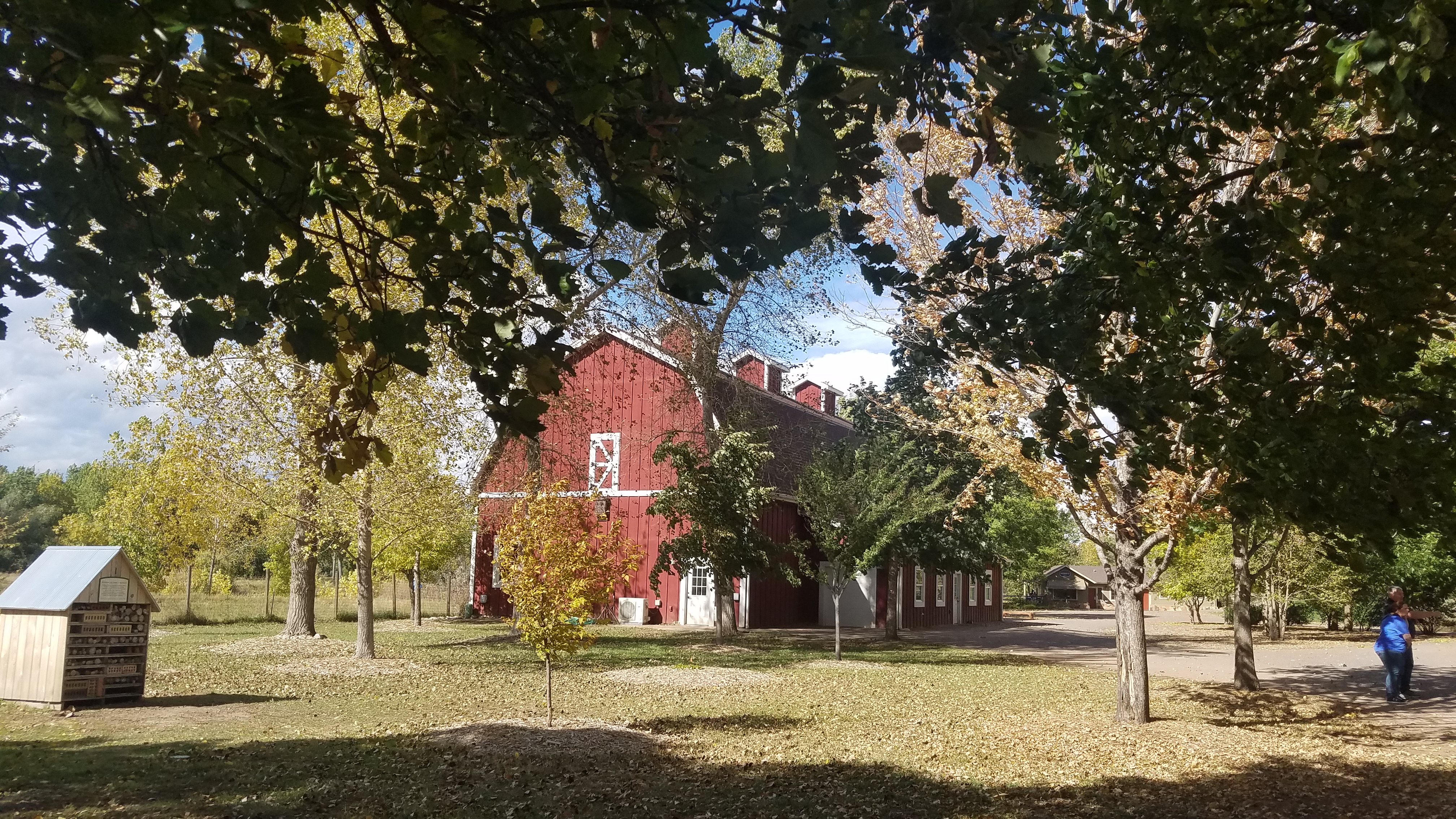 20171001_1beeapiaryo