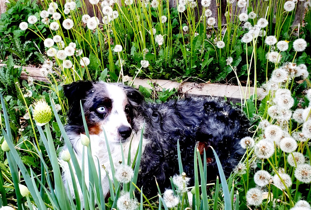 Photo Challenges – Place in the&nbsp;World