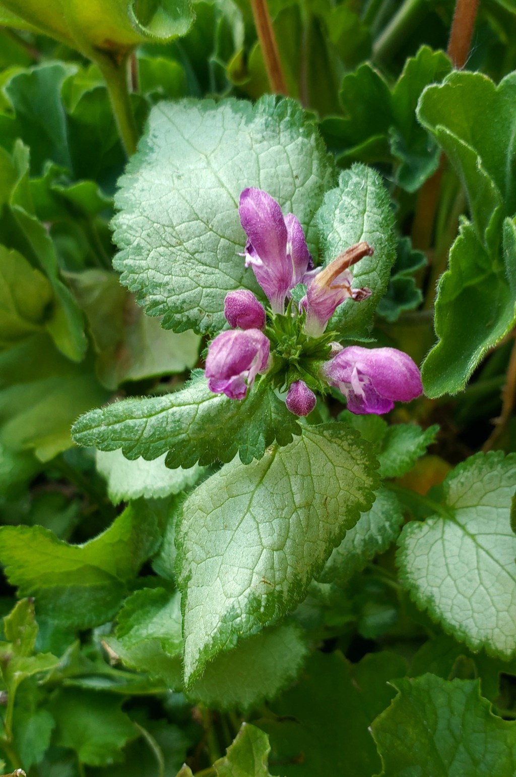 365 Project A Photo a&nbsp;Day