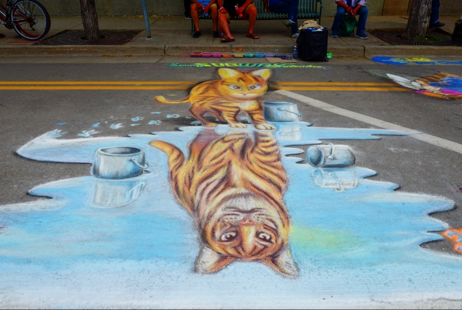 00-chalkart-3D-cat-DSC05640A900