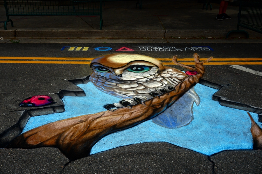 00-ChalkArt-3D-Owl-DSC05636_A900