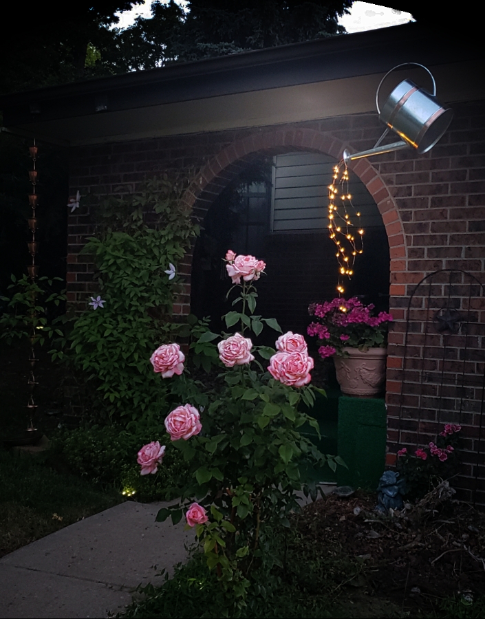 00-entryway-wateringcan-lightsA900