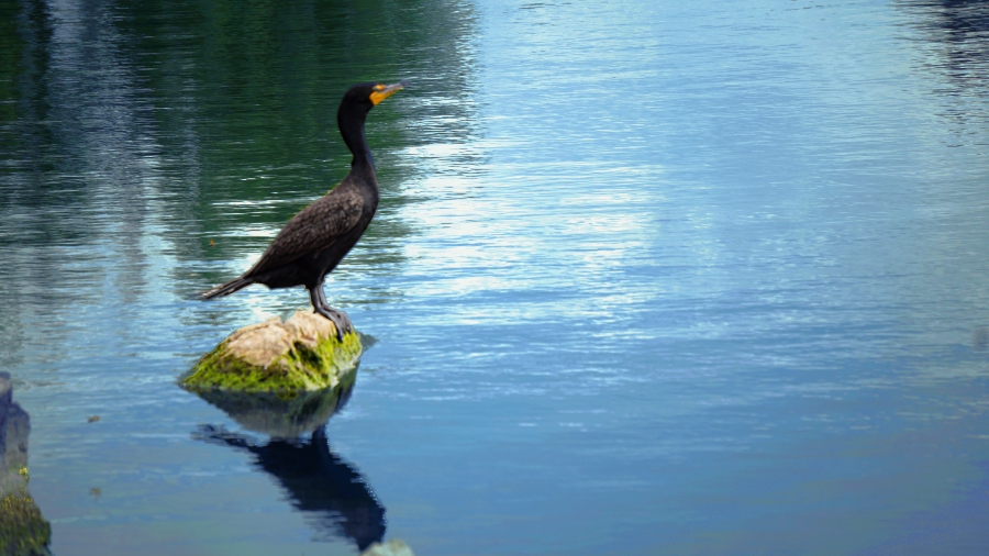 00-ketringLake-DSC05916_A900