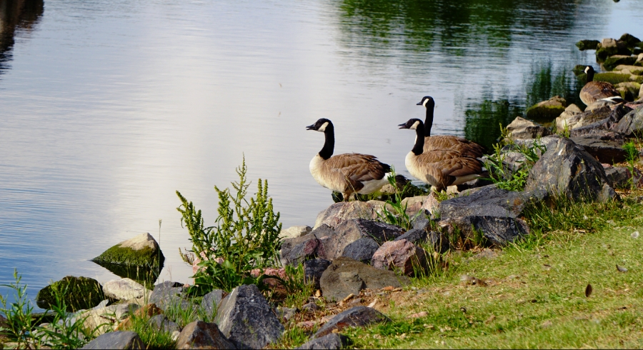 00-KetringLake-DSC05951_A900