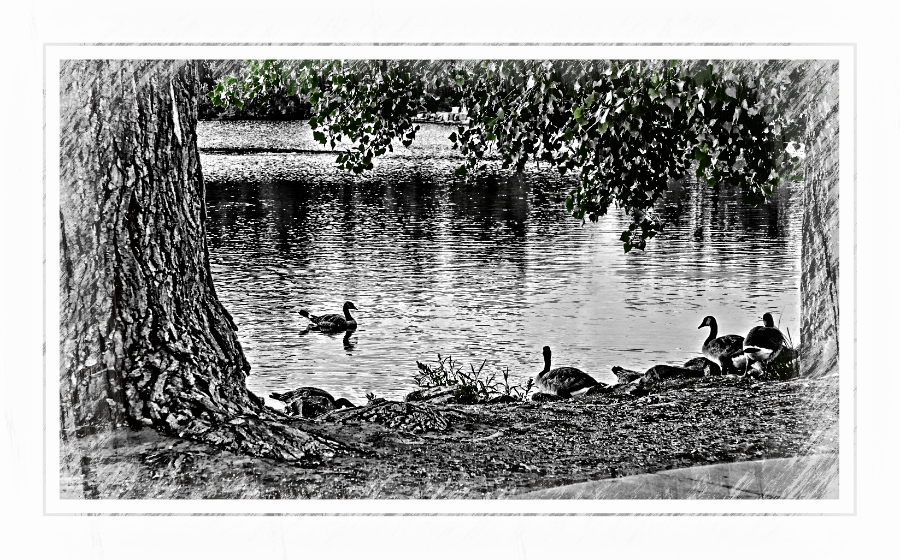 Cee’s Black & White Photo&nbsp;Challenge