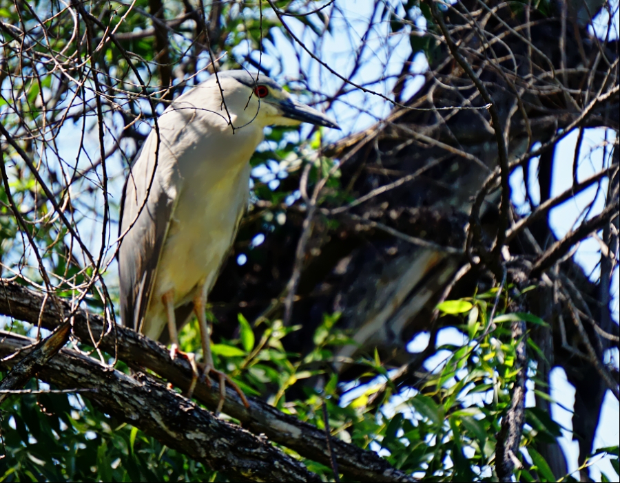 00-SternPark-3619-DSC05885_A900