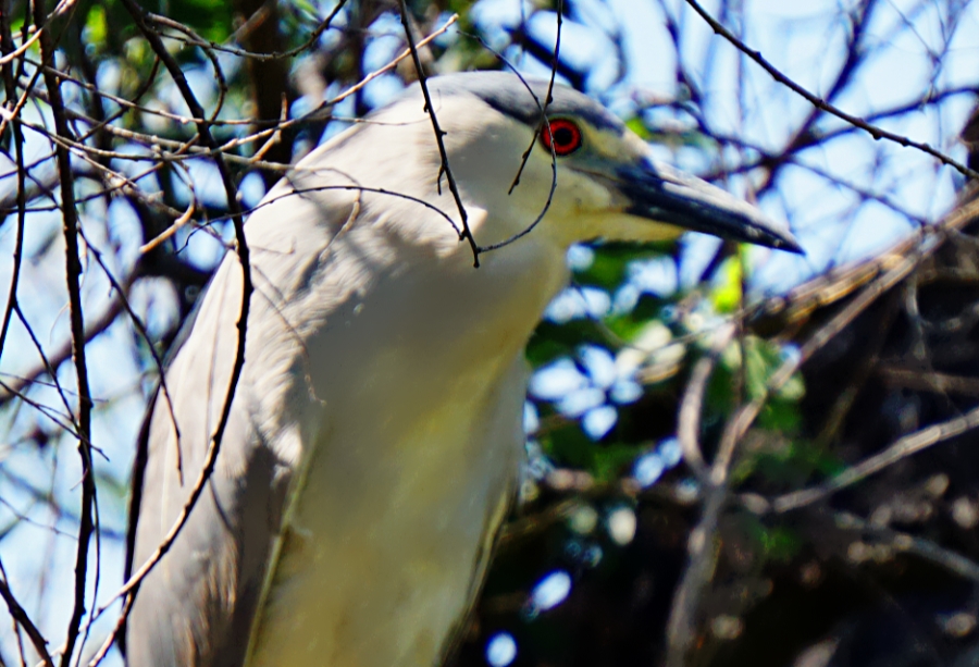 00-SternPark-3619-DSC05885_B900