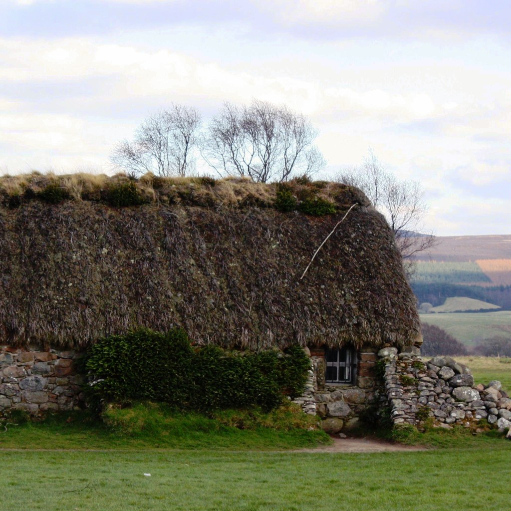 Thatched Roof of&nbsp;Culloden