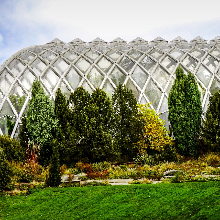 DenverBotanicGardensDBG2015-11-01 10.52.12_sq900