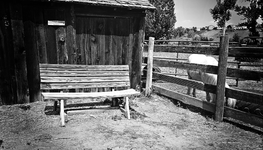 00-ChatfieldBench-20180721_105327_M900