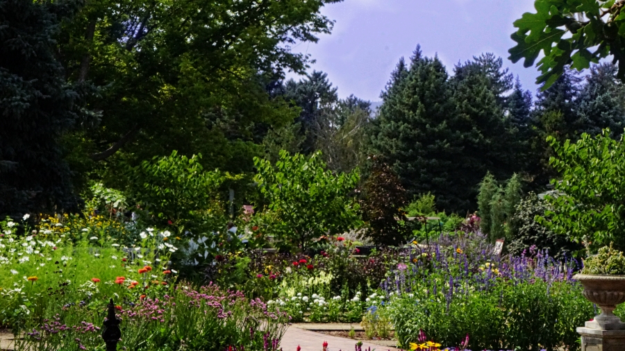 00-DBG-DSC06273_A900