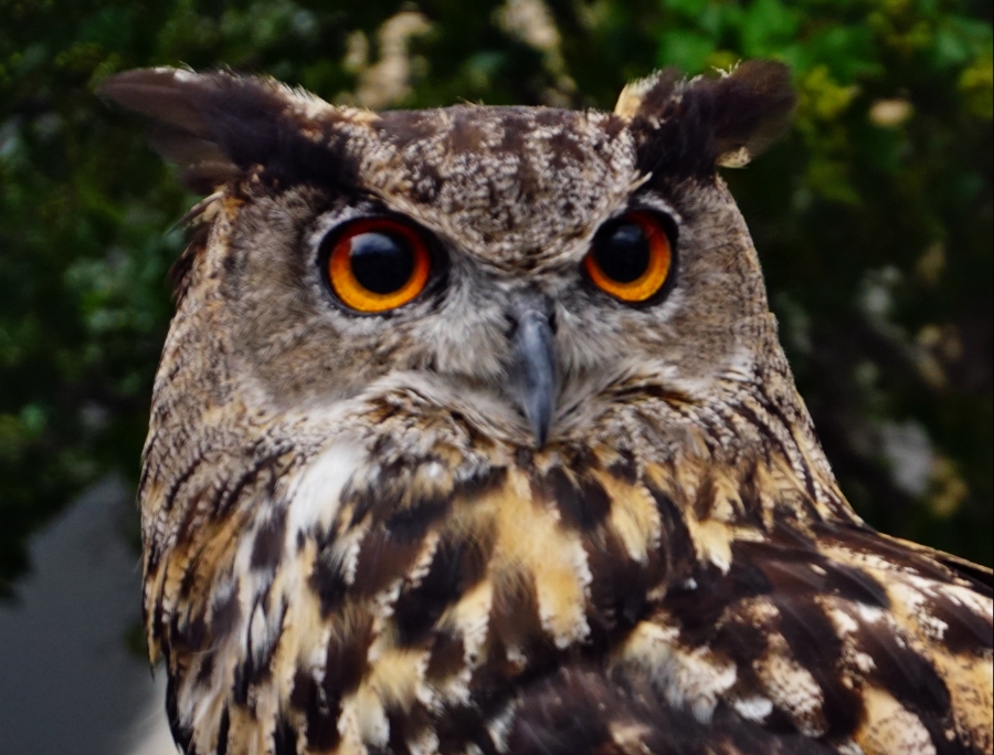 365 Photo A&nbsp;Day