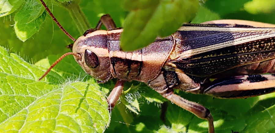 365 Photo A&nbsp;Day