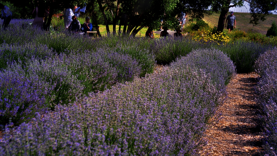 365 Photo A&nbsp;Day