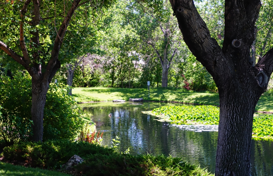 00-LH-Lake-DSC05708_A900