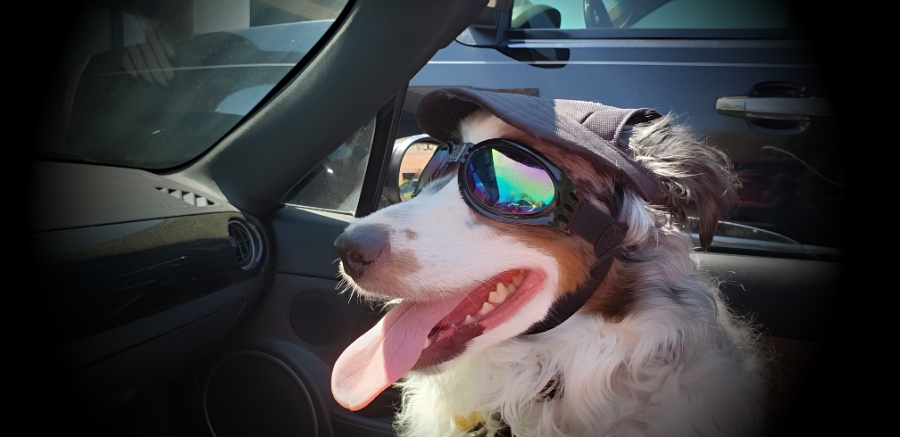 Share Your World – July 23,&nbsp;2018