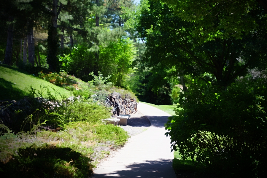 Tuesday Photo Challenge –&nbsp;Wind