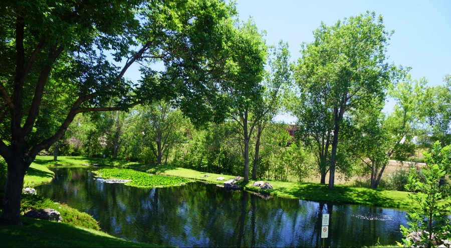 00-refletion-DSC05711A900