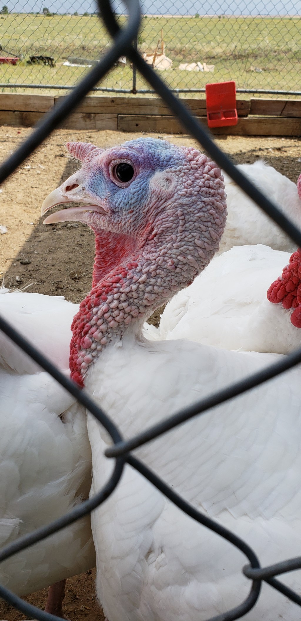 Share Your World – July 2,&nbsp;2018