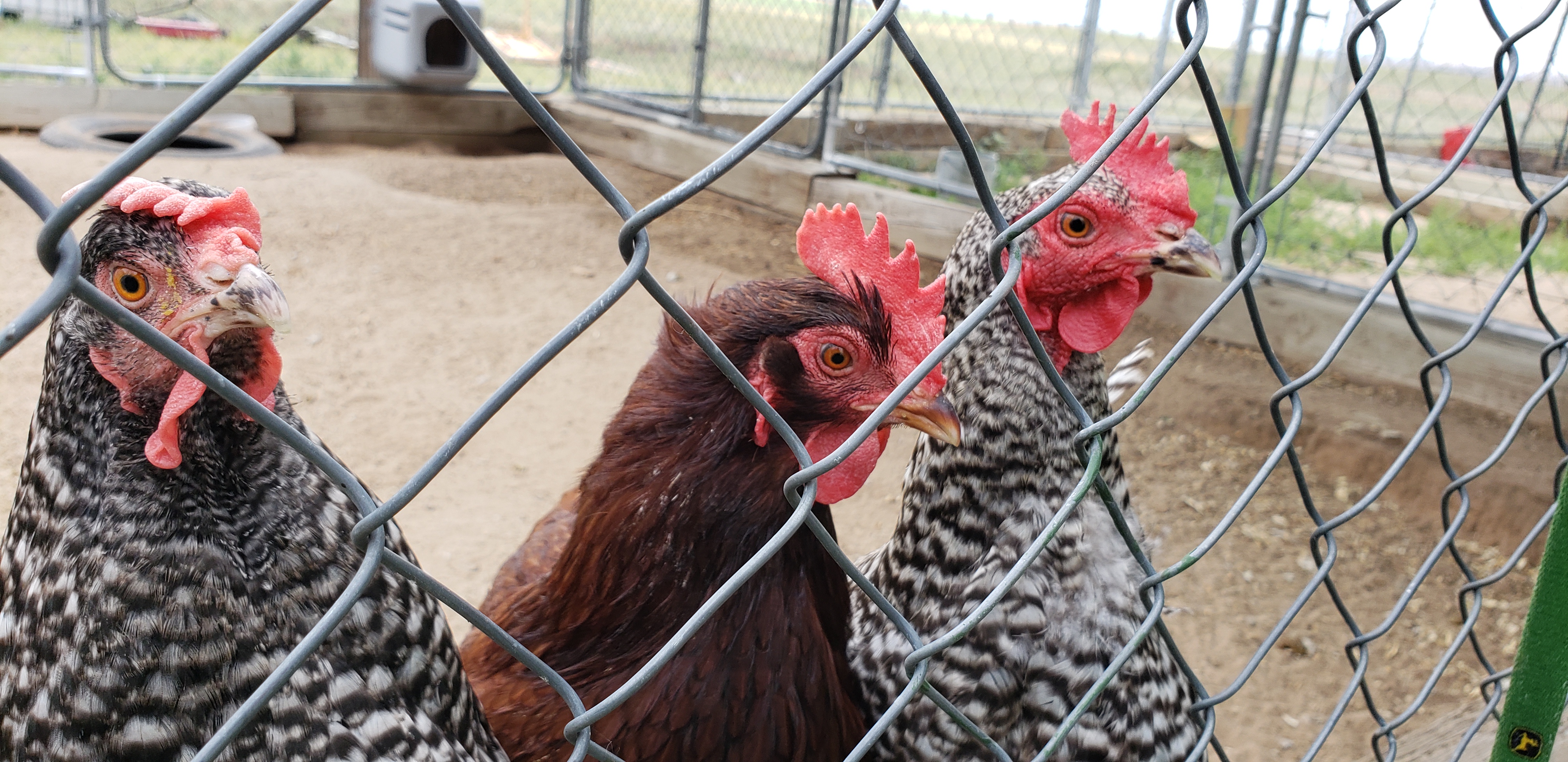 20180630_152213_42215874675_o