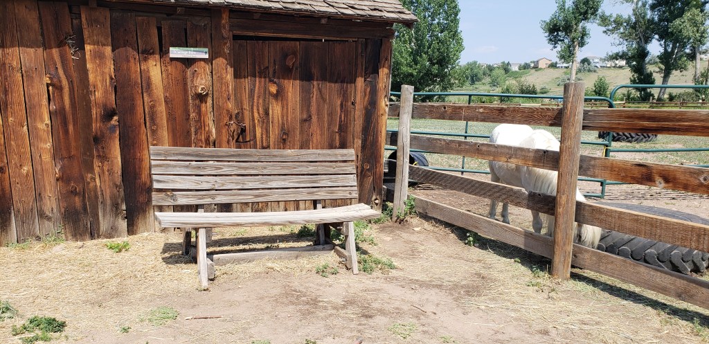 Odd Ball Photo&nbsp;Challenge