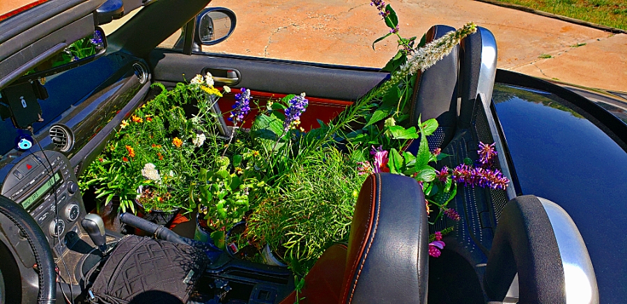 Share Your World – August 13,&nbsp;2018