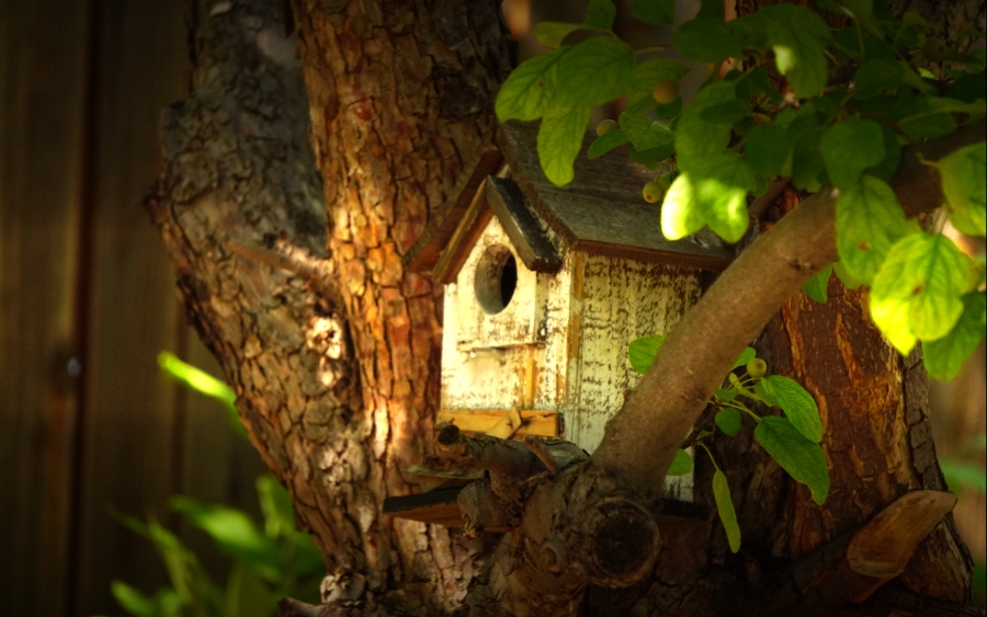 365 Project – A Photo A&nbsp;Day