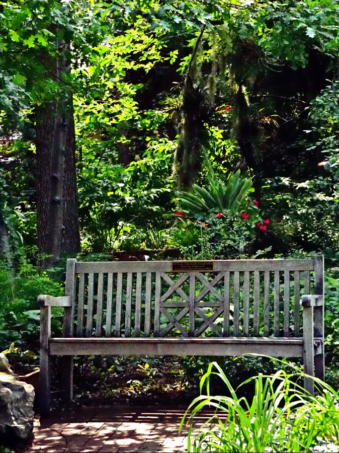 00-DBGBench-DSC06257A_A900