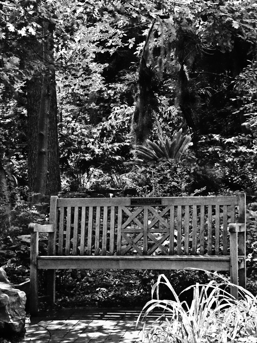 Black & White Photo Challenge –&nbsp;Compare