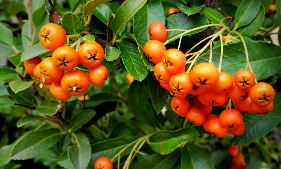 365 Project – A Photo A&nbsp;Day