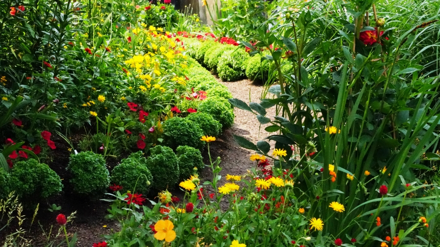 00-GardenPath-DSC06251_A900