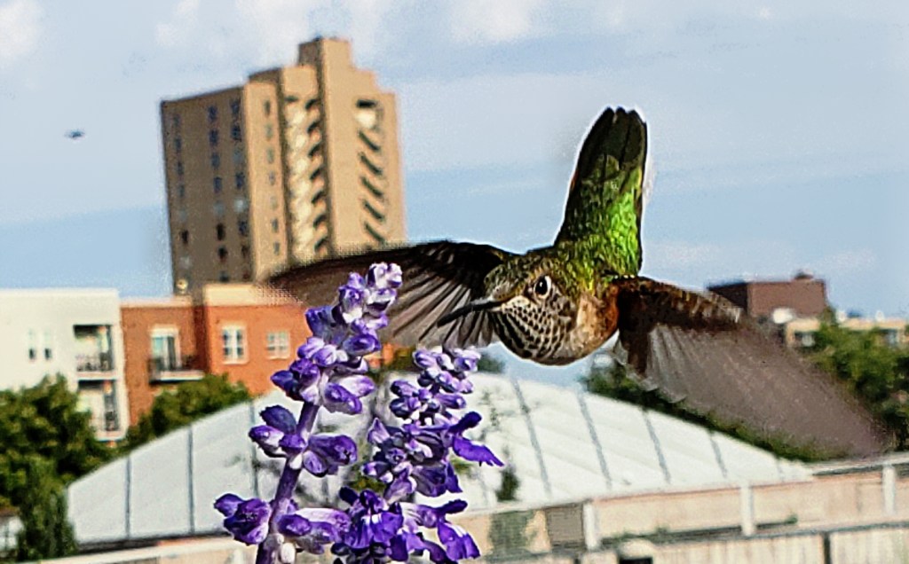 Project 365 – A Photo A&nbsp;Day